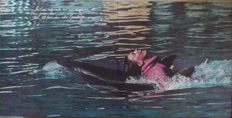 Olivia Newton-John 1981