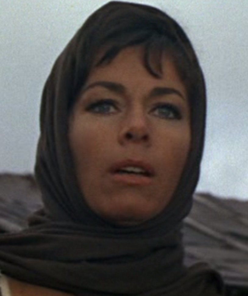 Hafsia herzi loving loners