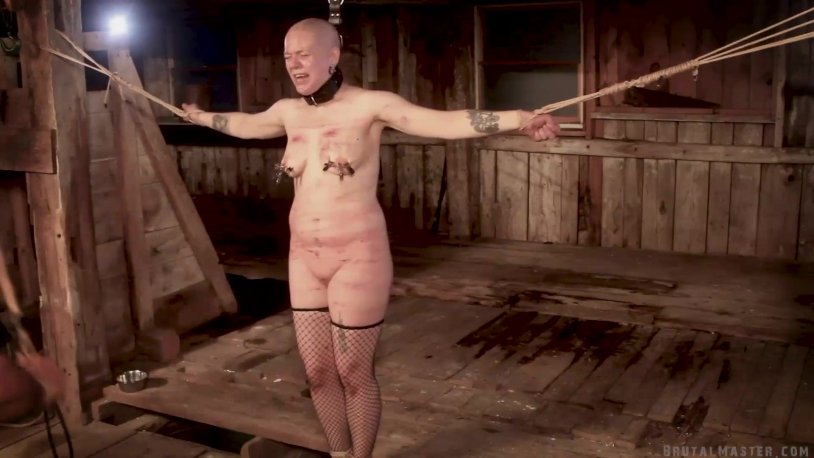 Violence over BDSM slaves