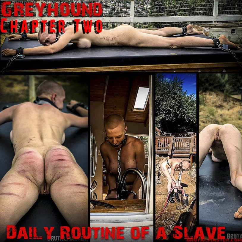 Amy Brooke anal hook