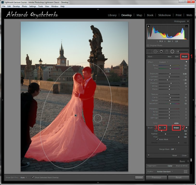 Wolf with Wall Street Orgy on an airplane