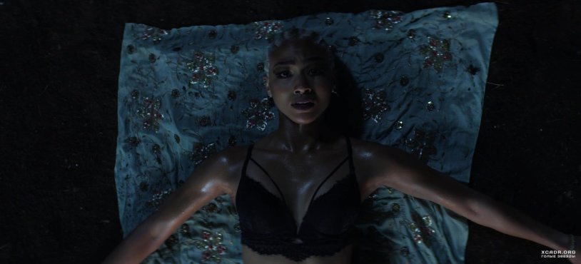 What do guys want 16+