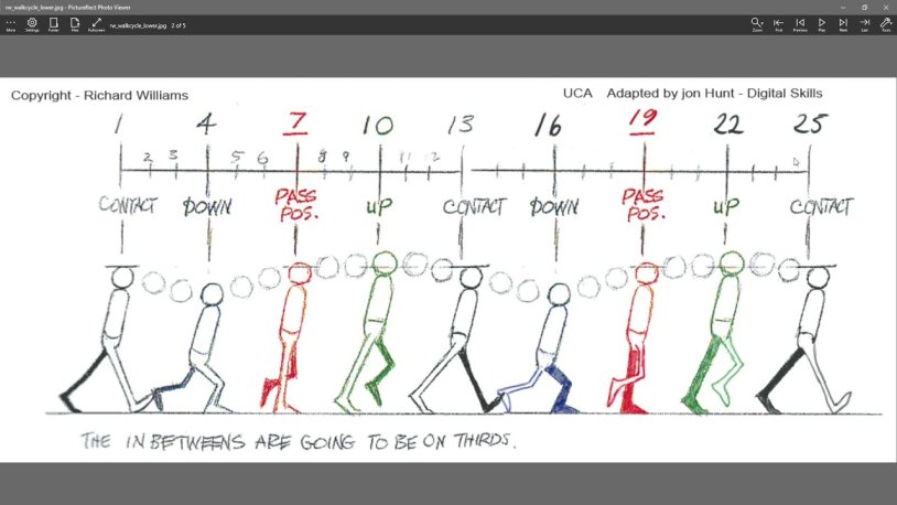 Animation walking scheme