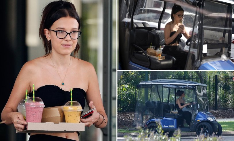 Миллионер фильм Бобби Браун