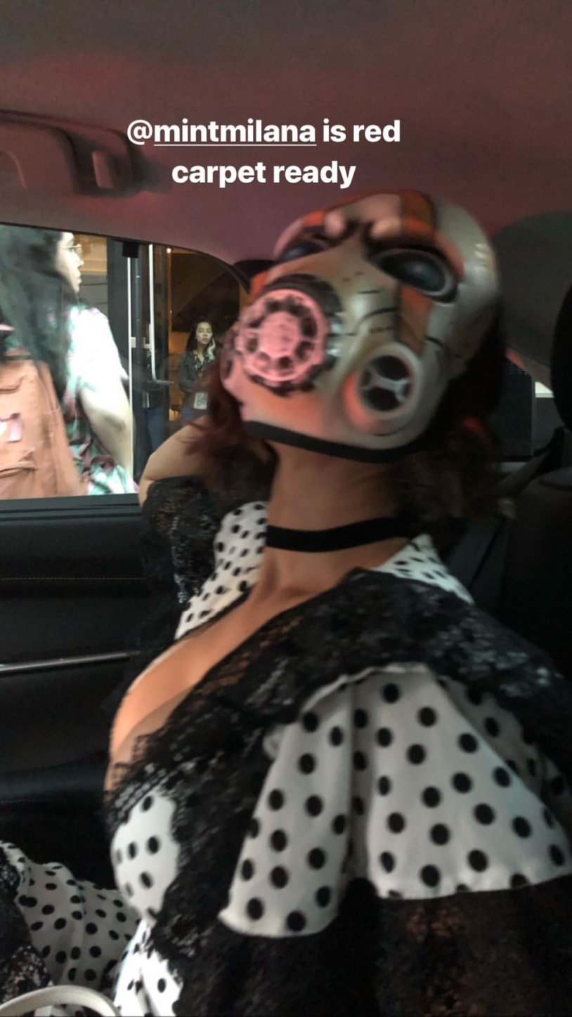 Borderlands Mask Psh