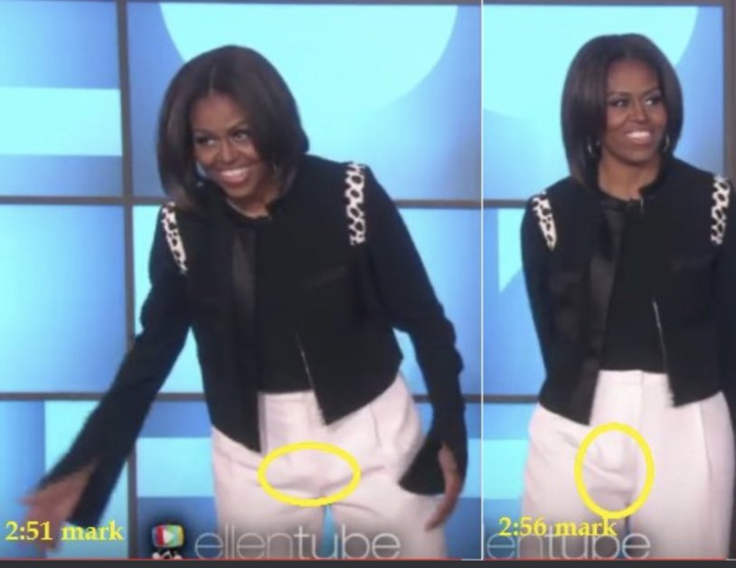 Michel Obama Trans evidence