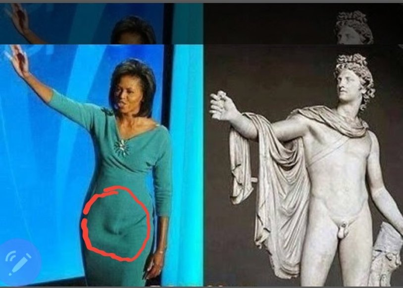 Little Michelle Obama