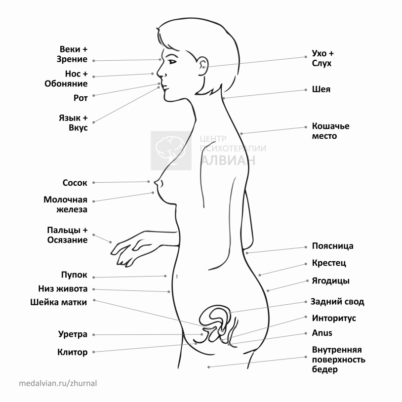 Map of erogenous zones Women