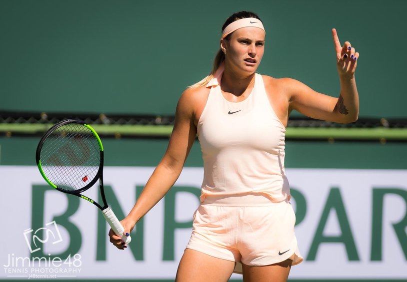 Arina Sobolenko Toples