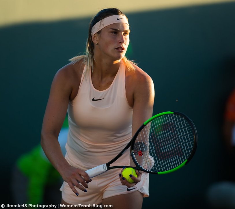 Arina Sobolenko in a swimsuit