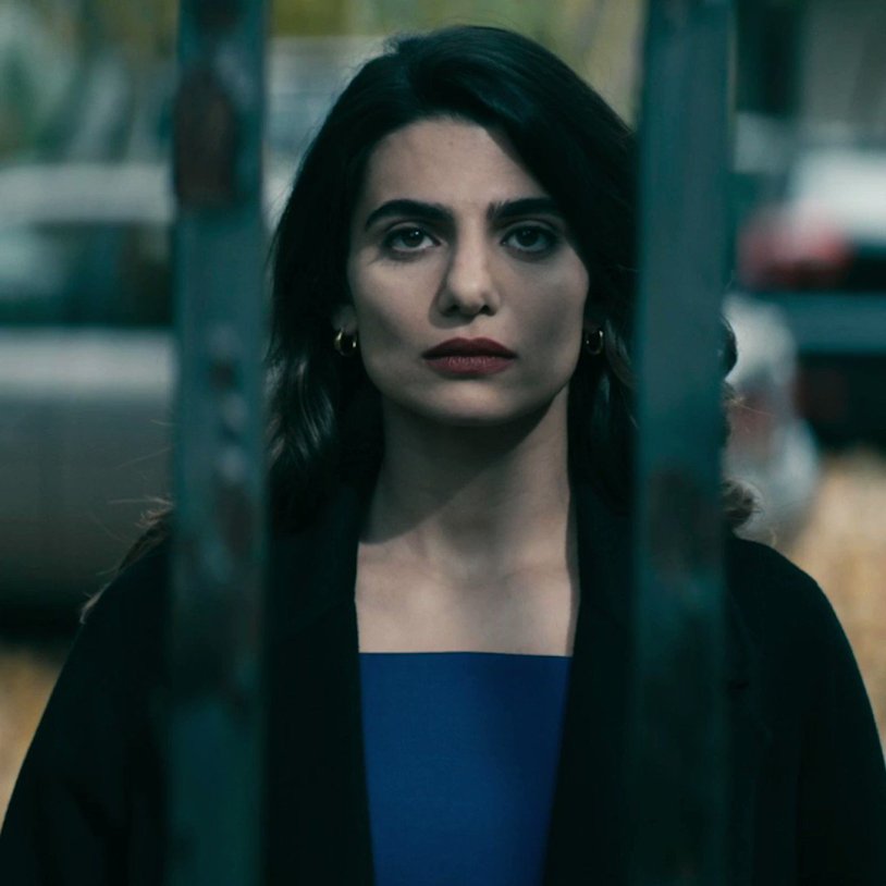 Victoria Newman boys