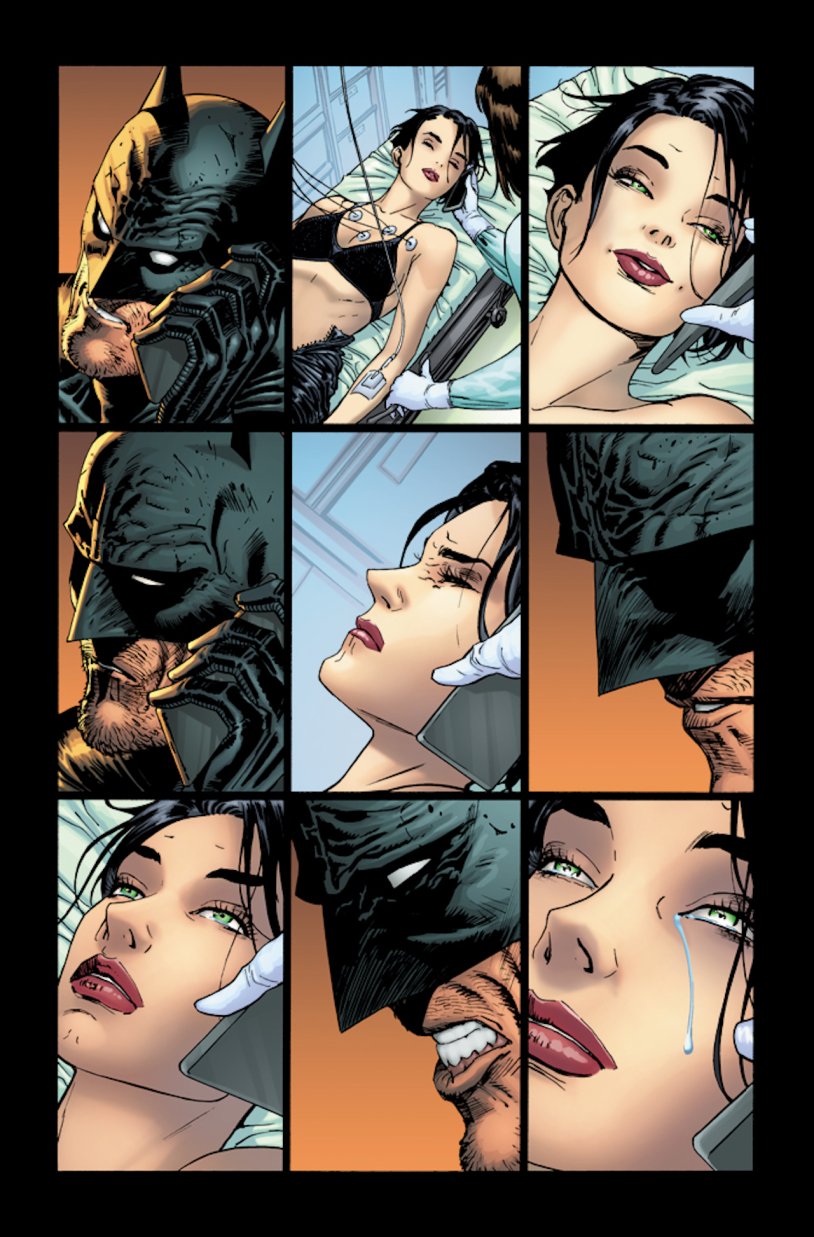 Robin Gotham Knights