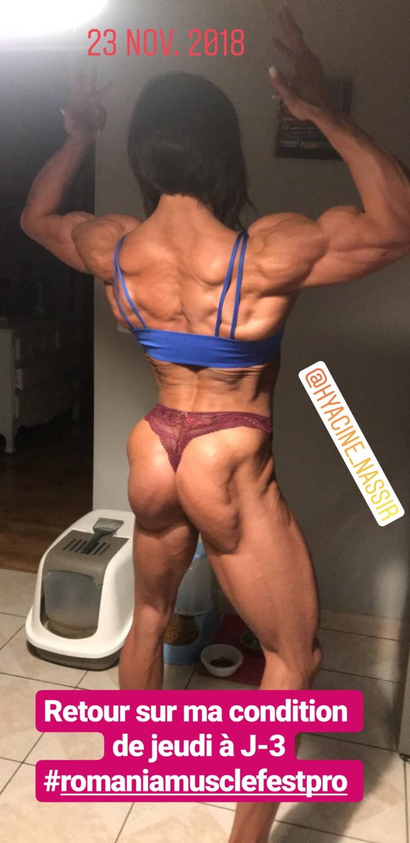 Anne Mohn Ifbb Pro