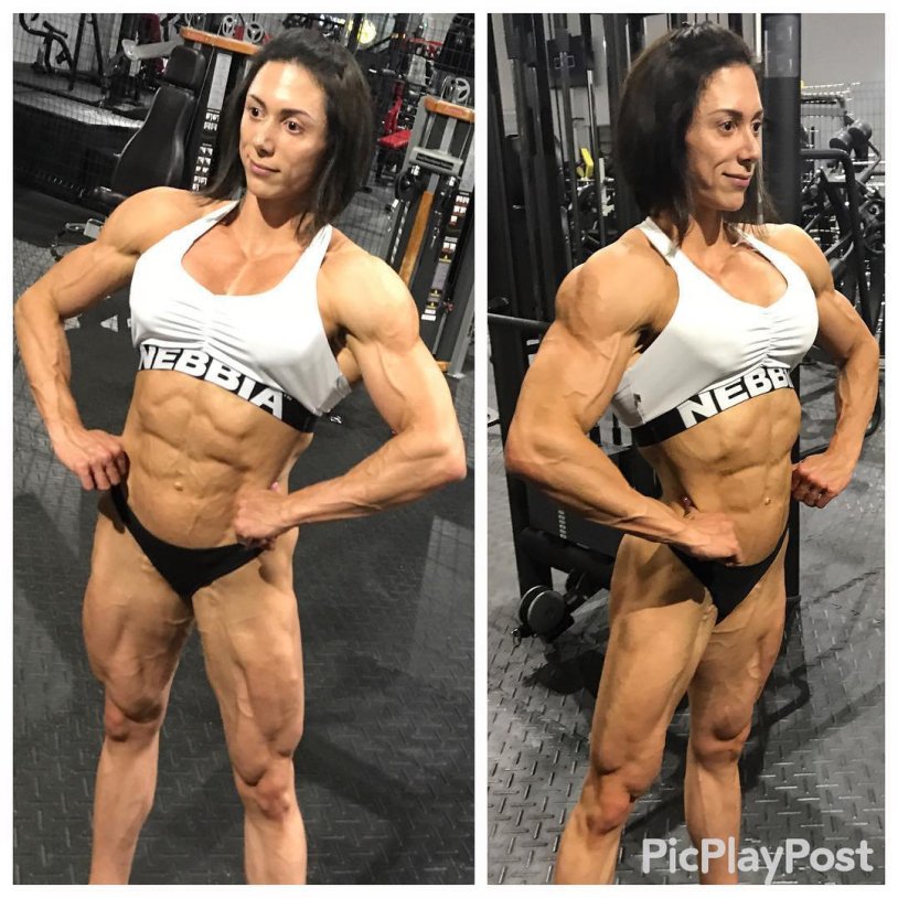 Jana Linke Sippl Rippeed