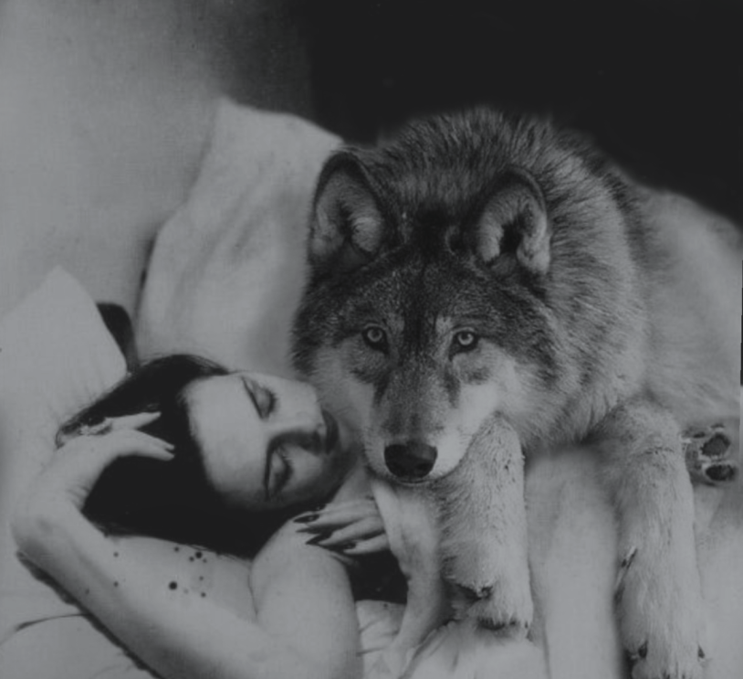 Girl and wolf pictures