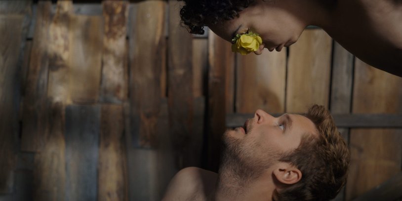 Fibi Catees Paradise