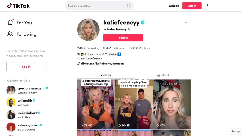 The highest paid thiceters in Russia