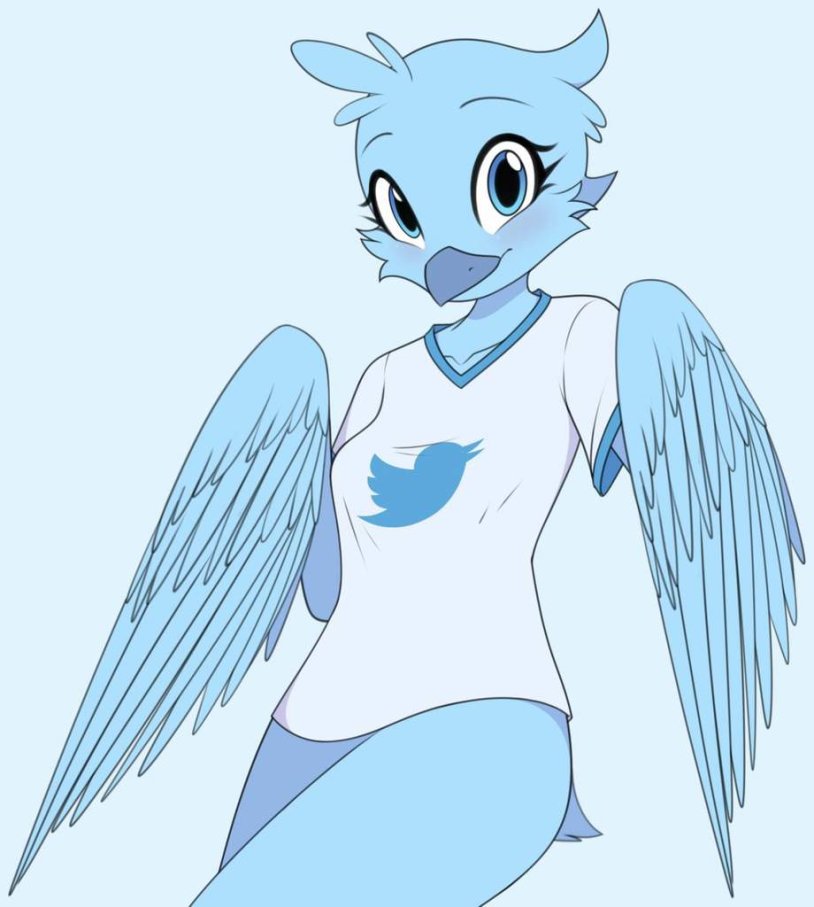 Former UCONN HOOPS Star Sue Bird Comes Out as Gay