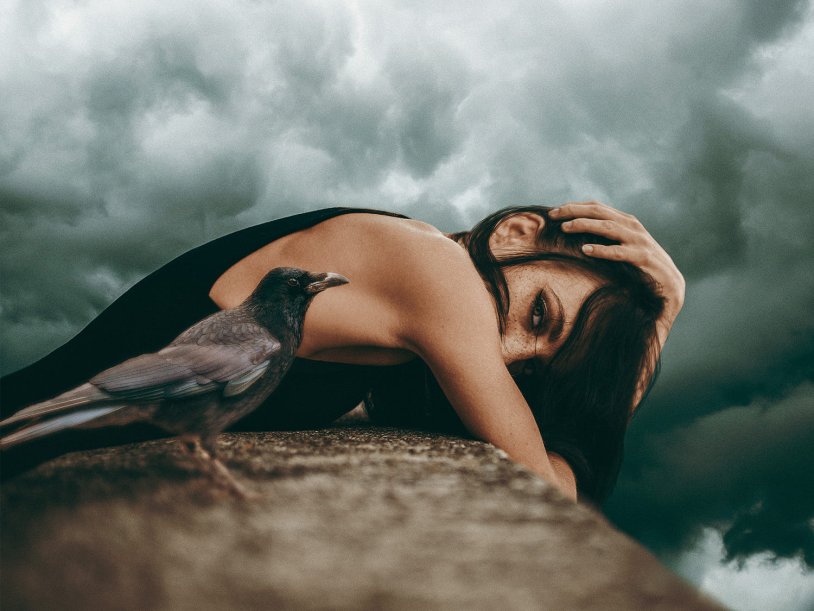 Dear Brother in Law 2015 Film