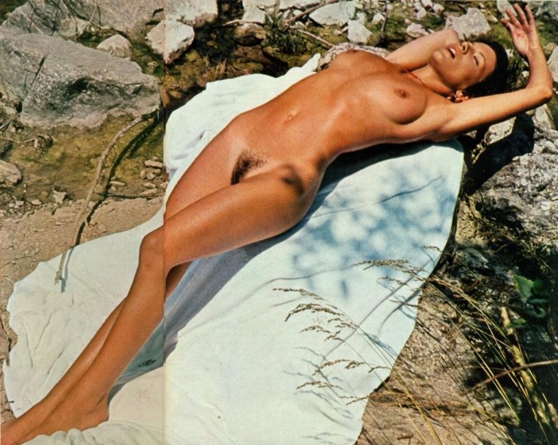 Farra Fosett Penthouse goal,