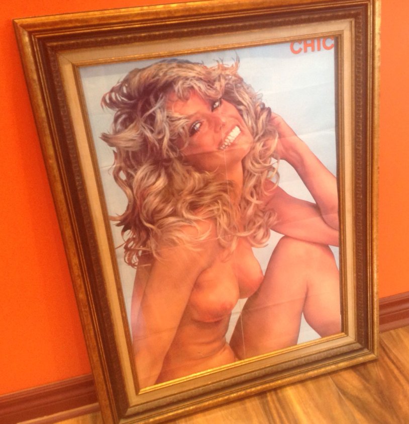 Playboy blonde hairy