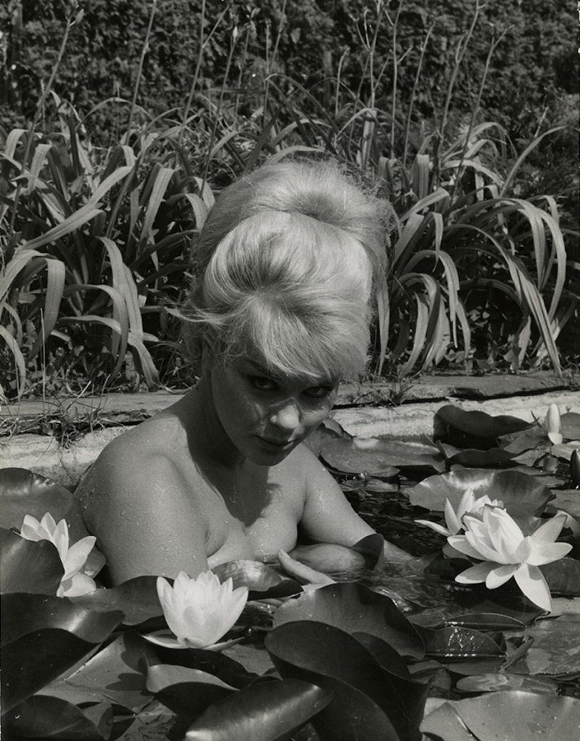 Elke Sommer