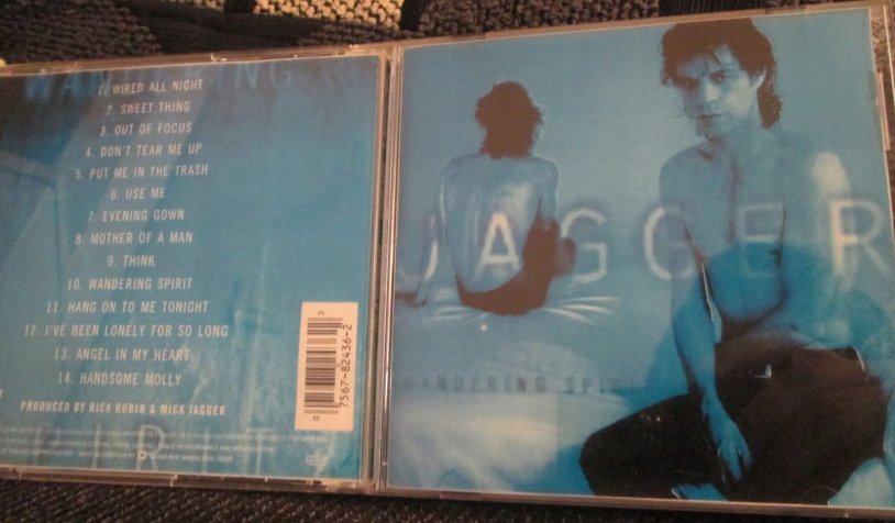 Darling in the Franxx Miku