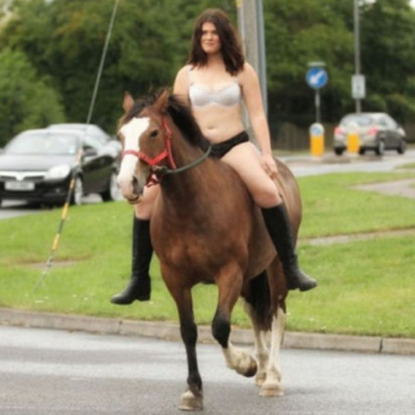 Women ride ponies and horses
