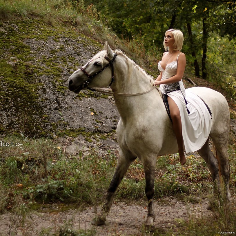 Photo shoots with horses