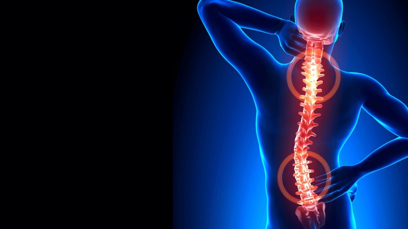 Dolores del Monte photo playboy