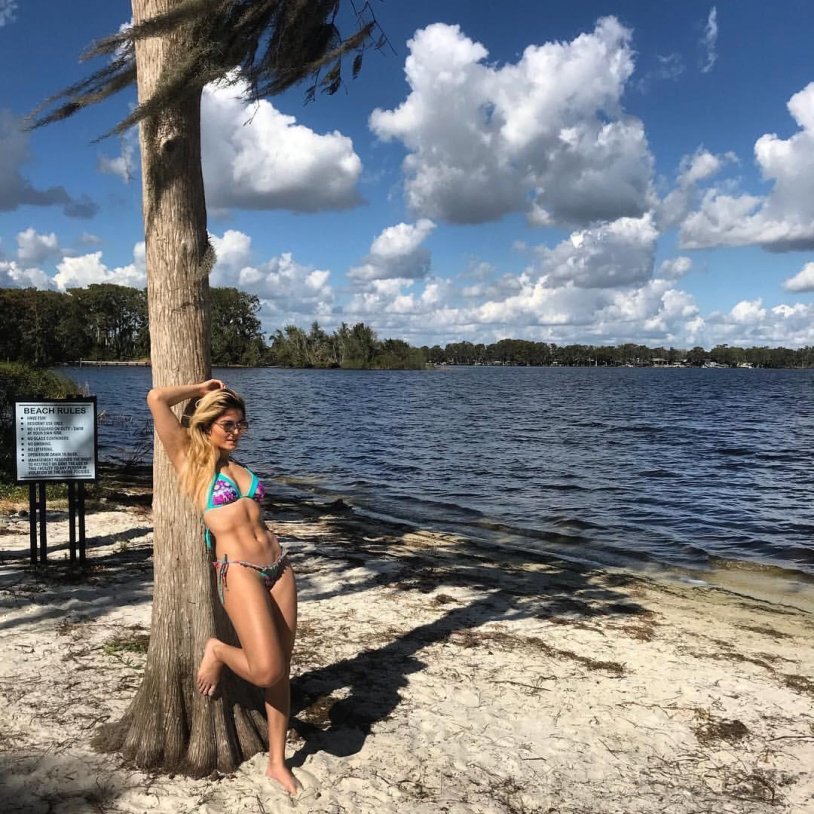 83.3702 voltage regulator connection circuit