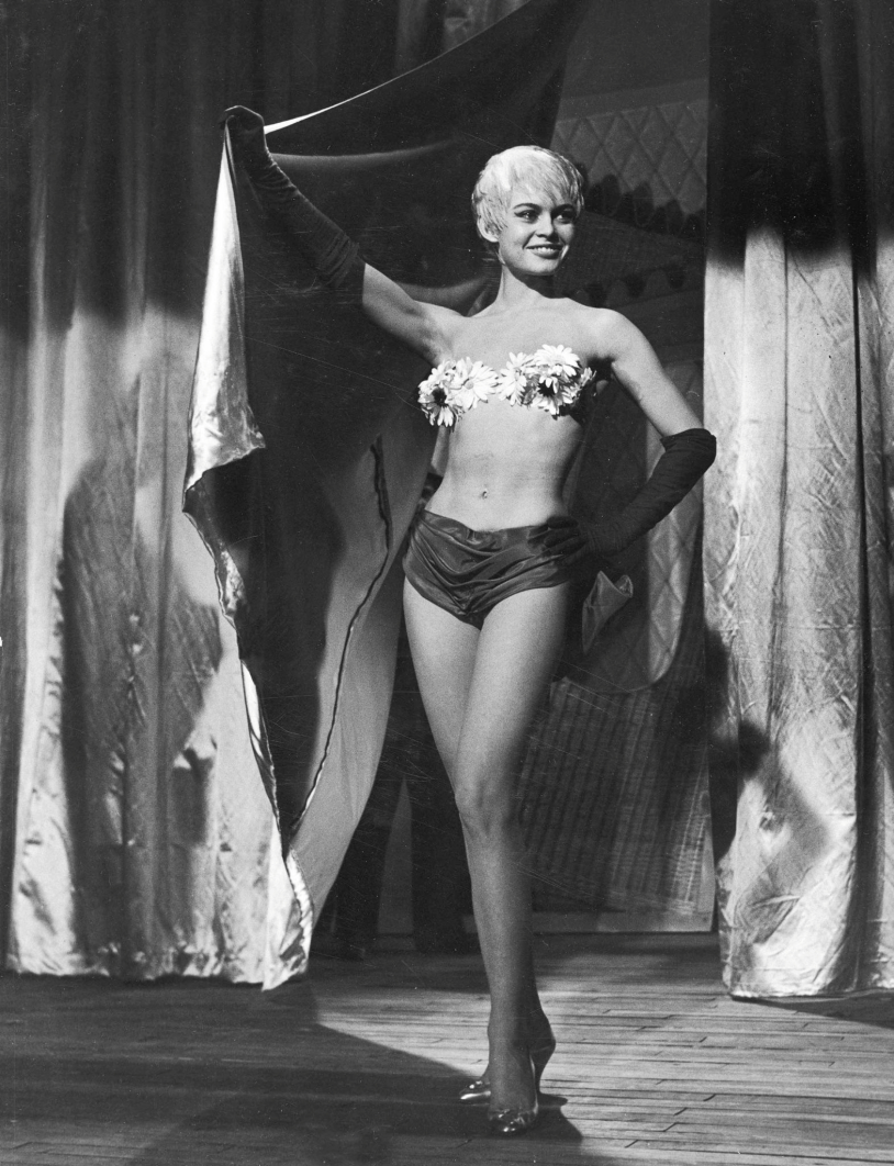 Marlene Dietrich Blue Angel