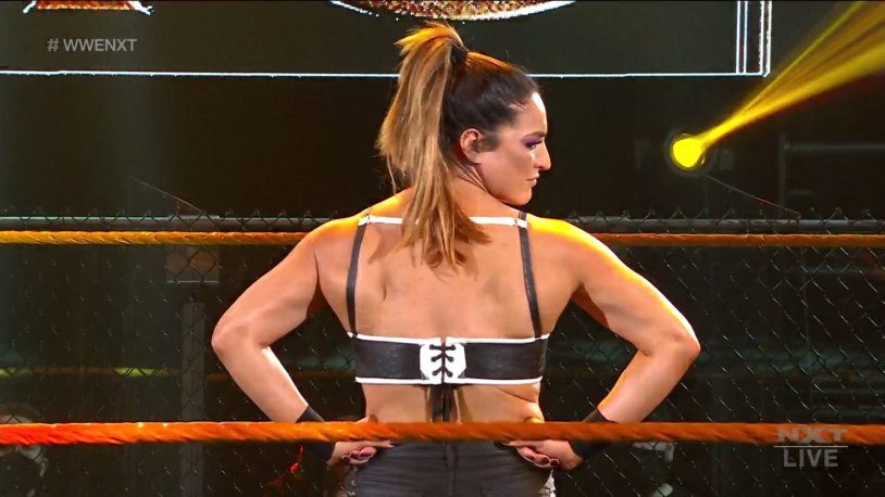 WWE NXT 11/20/2019