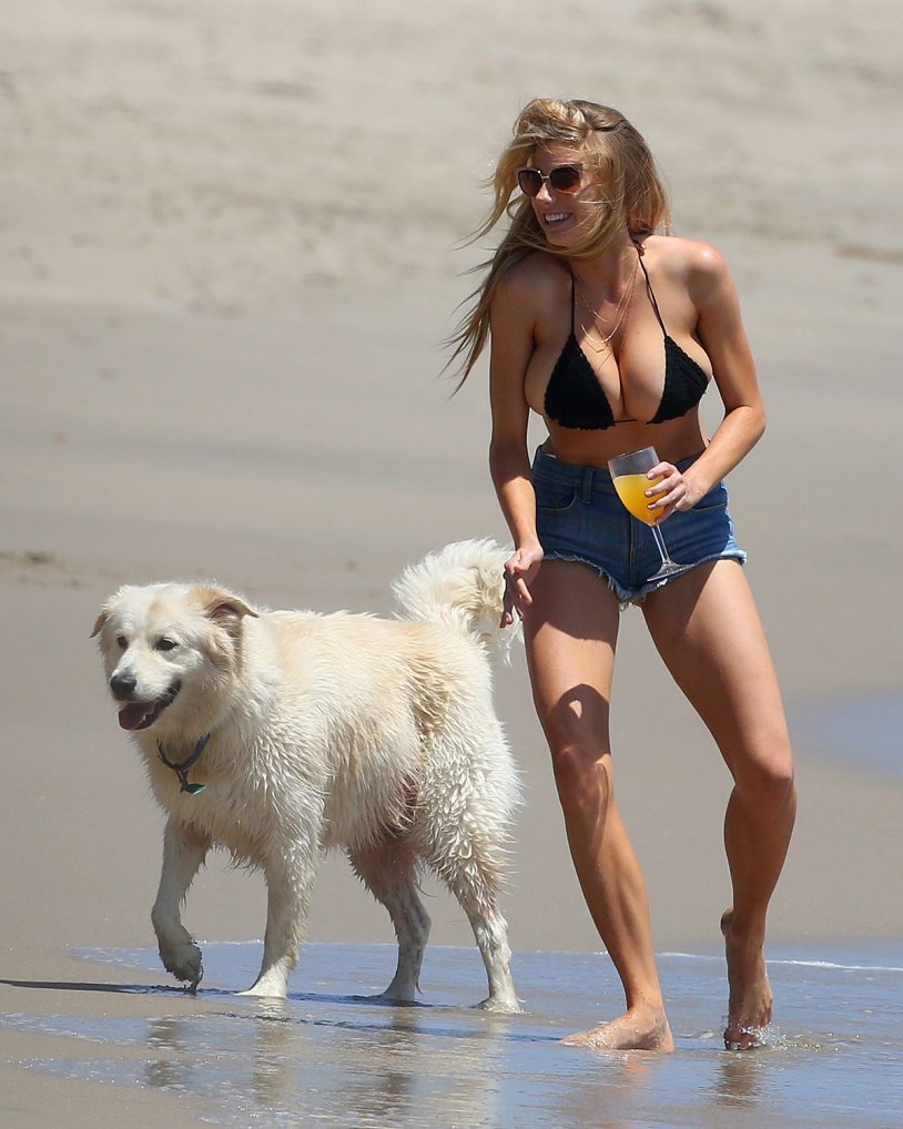 Charlotte Springer Black