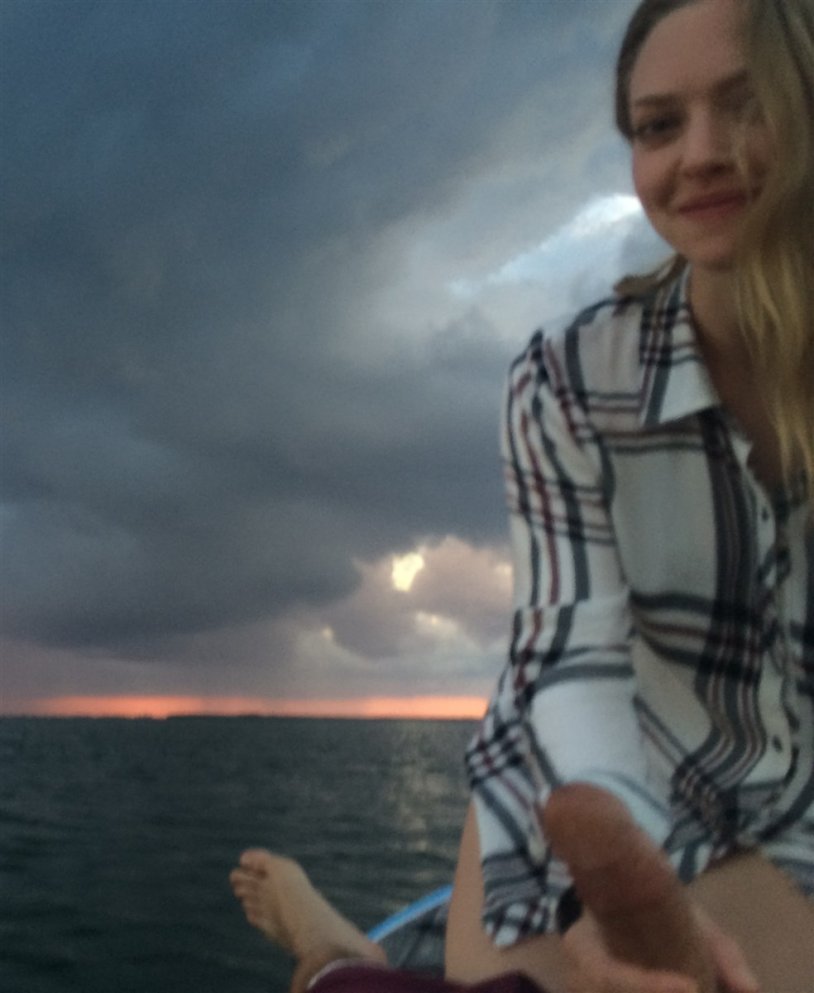 Amanda Seyfrid porn films