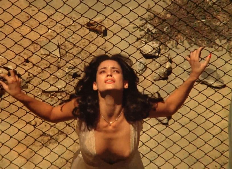 The heels of Sonya Braga