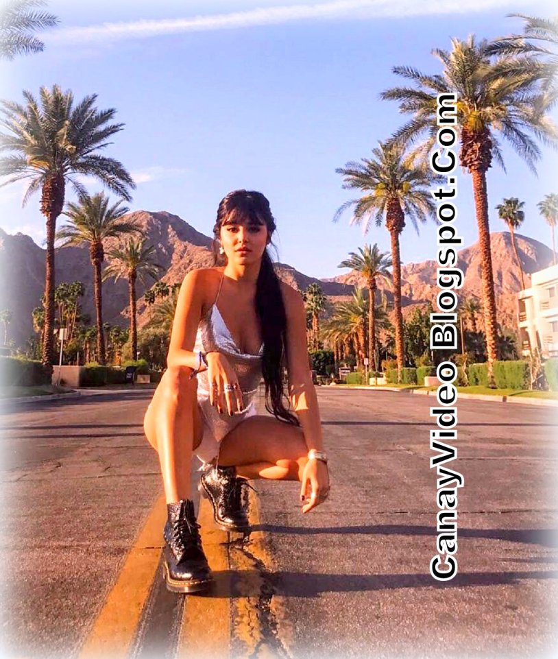 Hande Erçel Porn Photographs