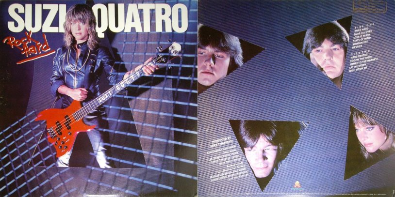 Suzi Quatro in a swimsuit