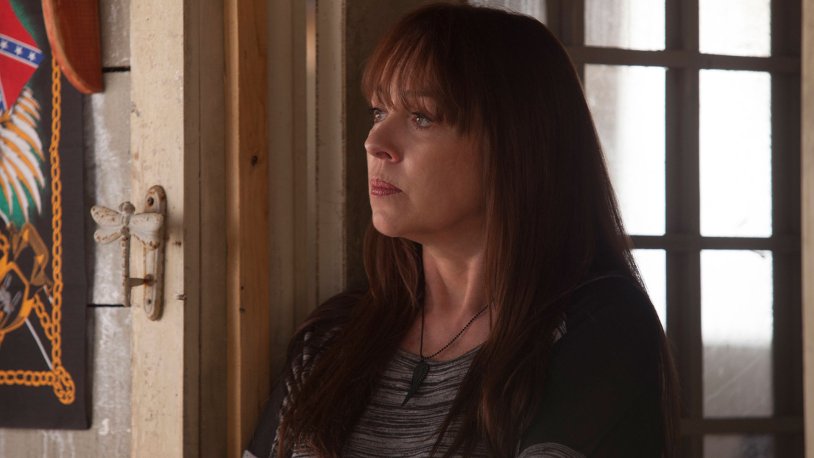 Dakota Johnson shades of gray