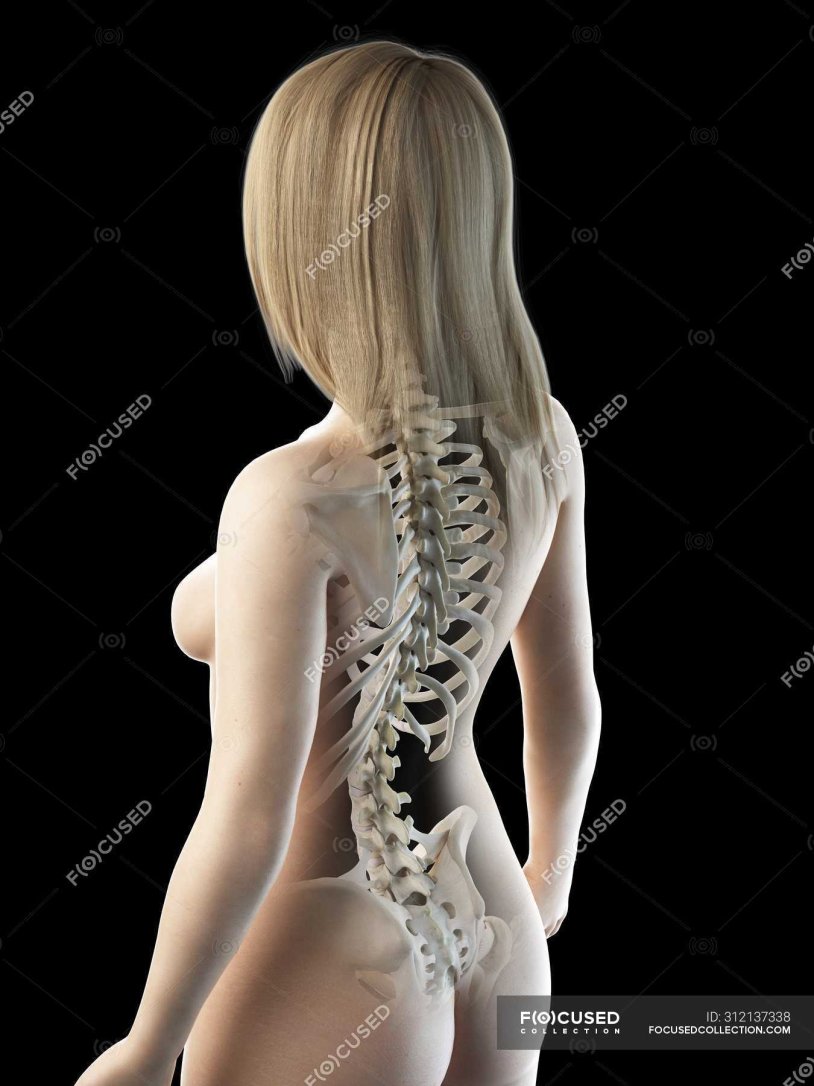 Bones back female body