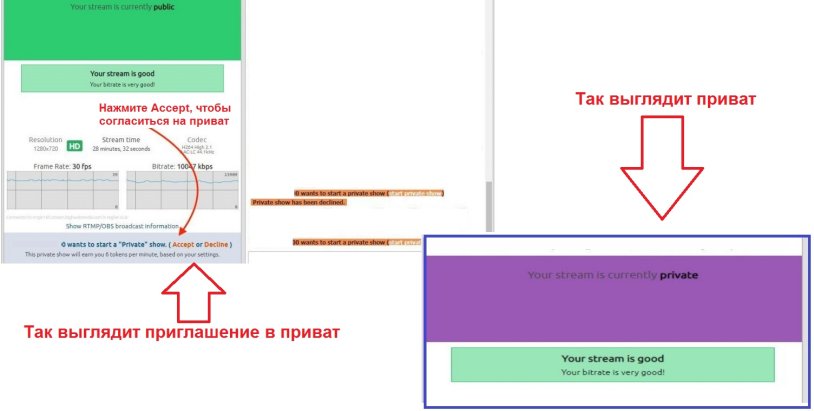 Kolllett Wulf Time Machine