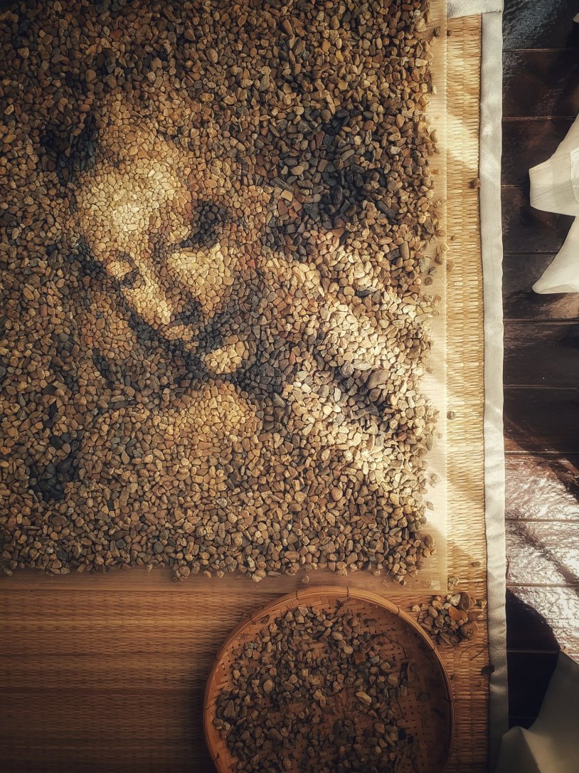 Justin Bieber 2015 torso