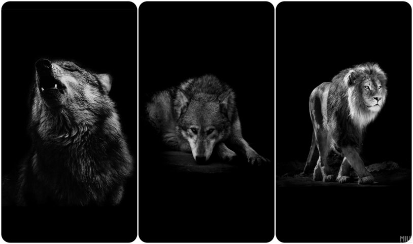 Hands sketch minimalism