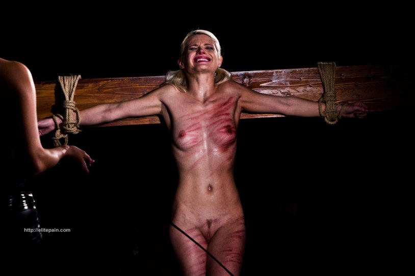 Elite Pain MOOD Pickchers BDSM