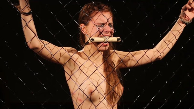 Elite Pain Painfal Duel Proceeding for money