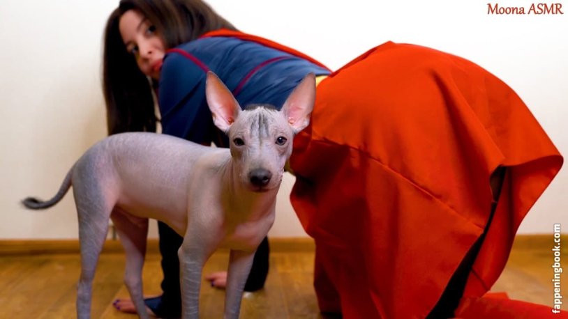 Mexican naked dog Ksolittzkuintley