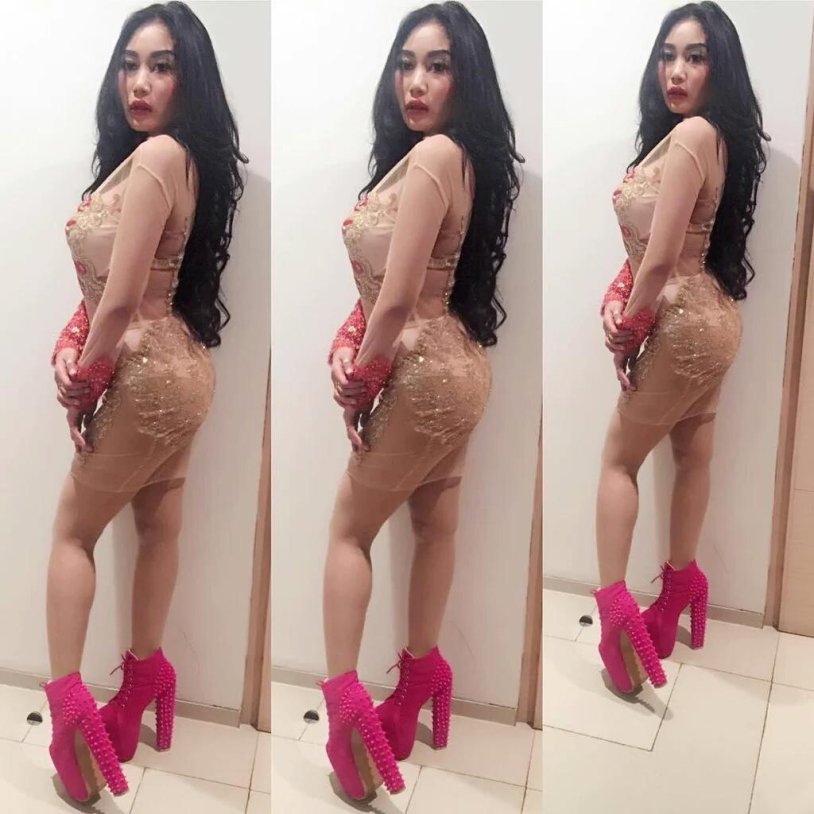 Pamela Santos Porn actress