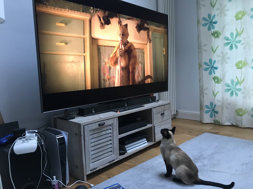 Olivia dunne gymnastics