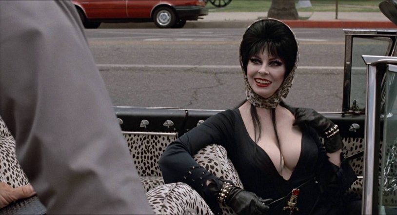 Elvira Lord of the Darkness of Personnel