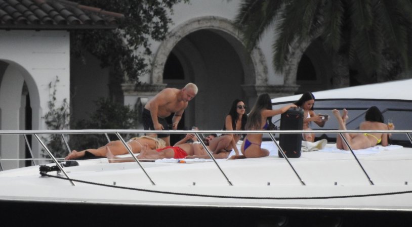 Lady Amelia Labrador